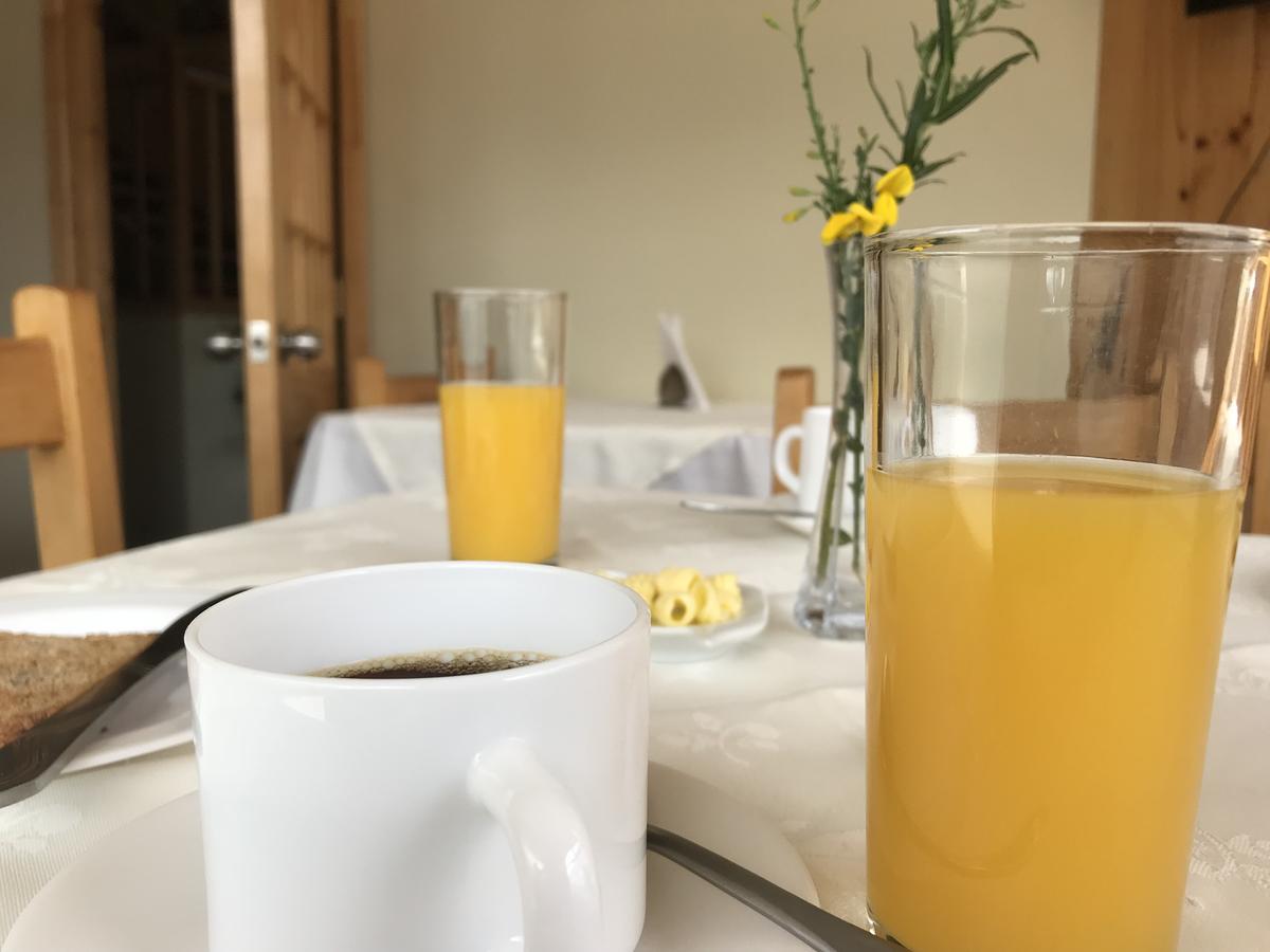 Hostal Los Pioneros 纳塔列斯港 外观 照片